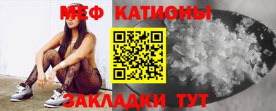 шишки Тара
