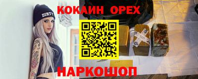 шишки Тара