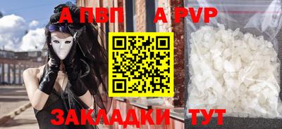 шишки Тара