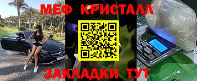 шишки Тара