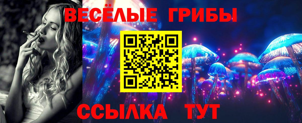 Галлюциногенные грибы Cubensis  Галлюциногенные грибы GOLDEN TEACHER  дарнет шоп  Наро-Фоминск  Вход с VPN 
